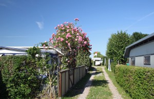 Begrünte Wege zwischen Stellplätzen