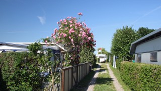 Begrünte Wege zwischen Stellplätzen