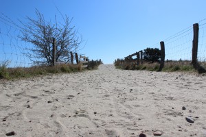 Naturbadestrand Lensterstrand