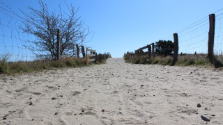 Naturbadestrand Lensterstrand